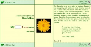 dandelion-seeds1